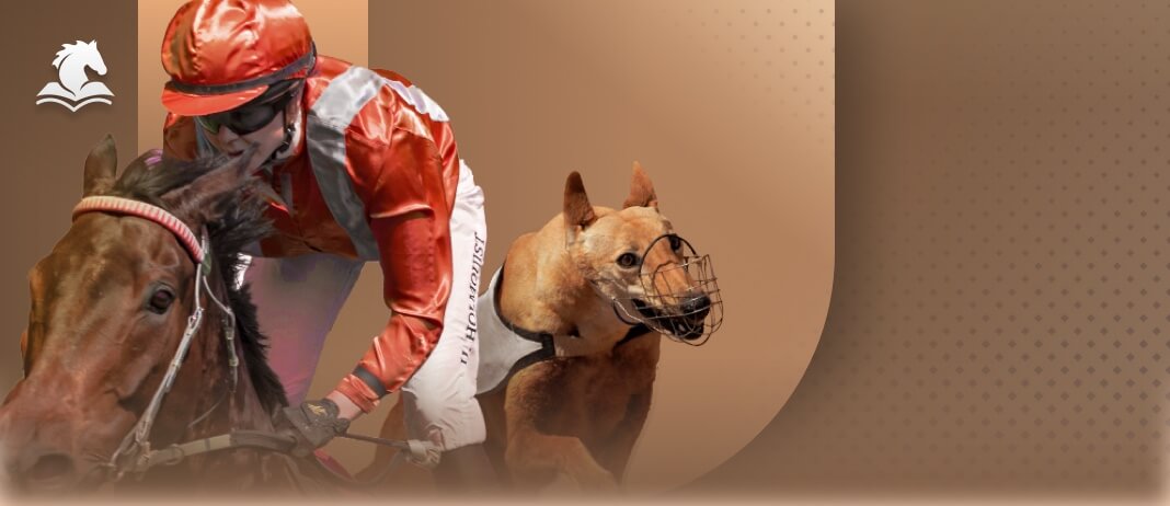 Unlocking the World of Online Gaming: Your Guide to Citinow and MB8 E-Wallet Login